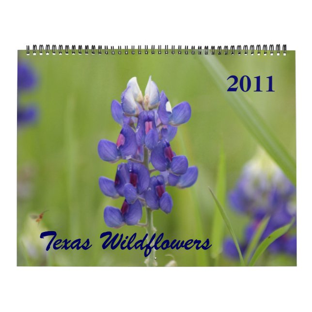 Foton av North Central Texas Wildblommor Kalender (Omslag)