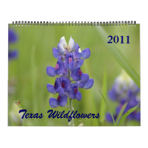 Foton av North Central Texas Wildblommor Kalender