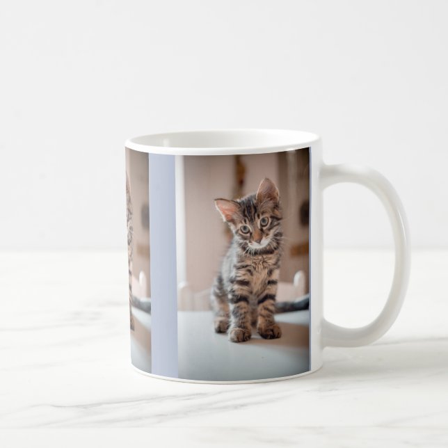 Foton för Anpassningsbarna kattunge Älskare 3 Kaffemugg (Höger)