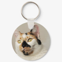 Foton för bästa Kat Mamma
