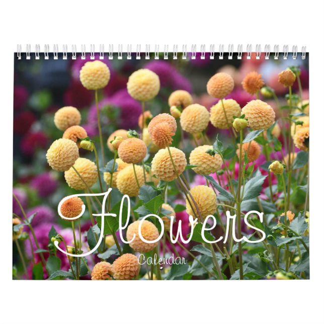 Foton för blommor, Blommigt Kalender (Omslag)