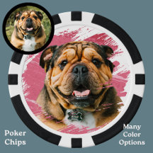 Foton för Cute Hund Fransk Bulldog