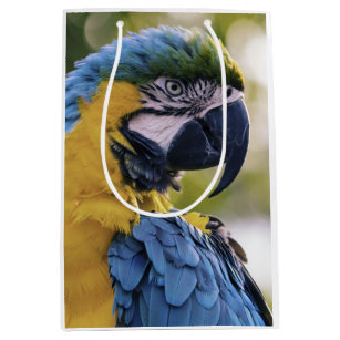 Foton för Macaw Parrot-profil Porträtt