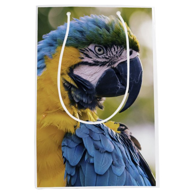 Foton för Macaw Parrot-profil Porträtt (Framsidan)