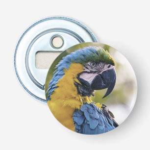 Foton för Macaw Parrot-profil Porträtt Flasköppnare