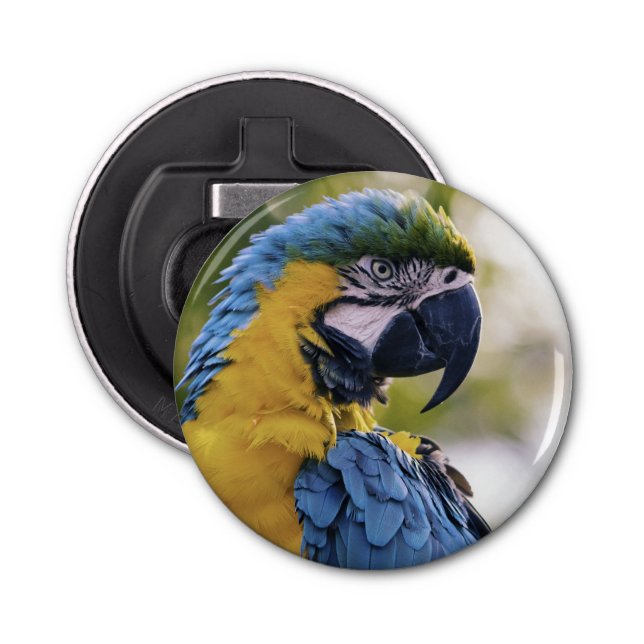Foton för Macaw Parrot-profil Porträtt Flasköppnare (Framsidan)