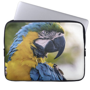 Foton för Macaw Parrot-profil Porträtt Laptop Fodral