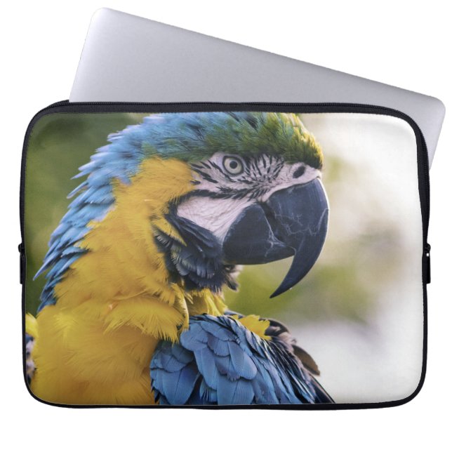 Foton för Macaw Parrot-profil Porträtt Laptop Fodral (Framsidan)
