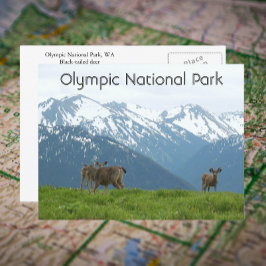 Foton för olympisk nationalpark Wildlife Travel Fo Vykort
