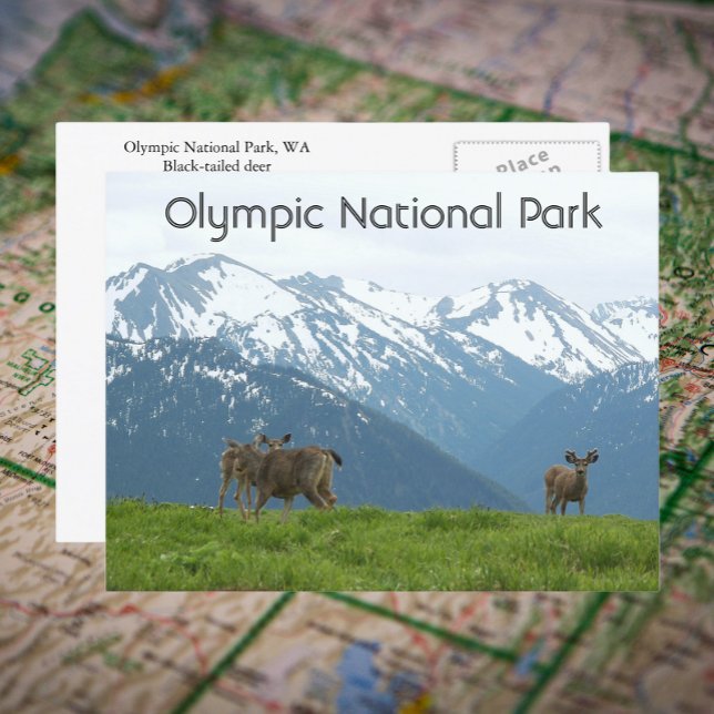 Foton för olympisk nationalpark Wildlife Travel Fo Vykort (In Situ Map)