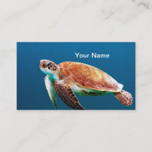 Foton för Turtle Blue Vatten Sea Visitkort