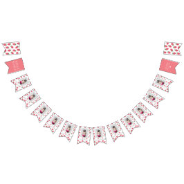 Foton från jordgubbsflicka första födelsedag vimplar