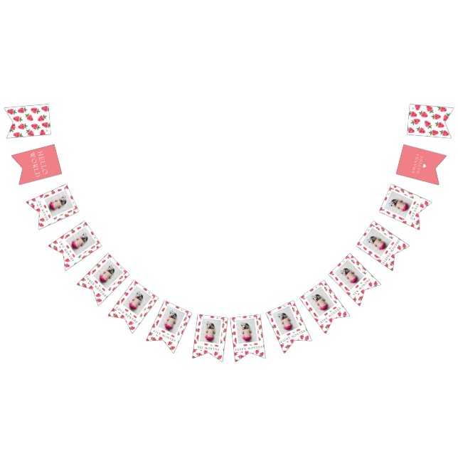 Foton från jordgubbsflicka första födelsedag vimplar (Alla)