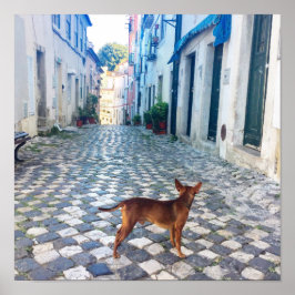 Foton från Lissabon Alfama Hund Architecture Poster