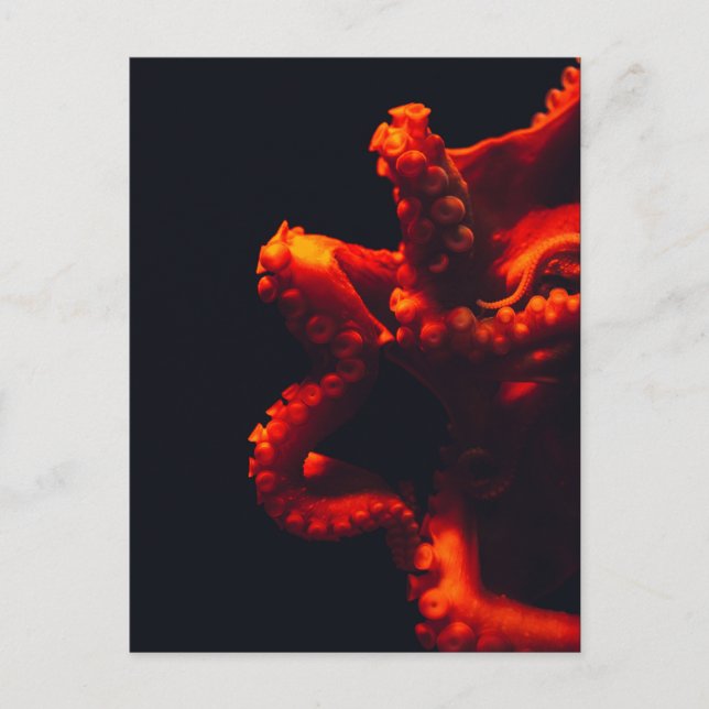 Fotoorange & svart för dramatisk bläckfisk vykort (Framsida)