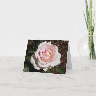 Fotopappat anteckningskort för rosa ros