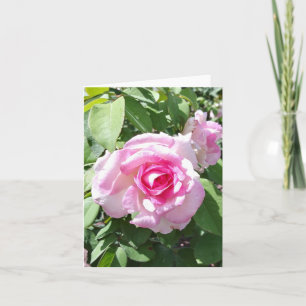 Fotopappat anteckningskort för rosa ros