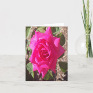 Fotopappat anteckningskort för rosa ros