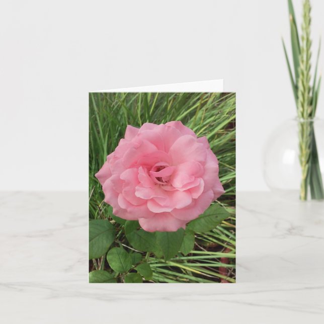 Fotopappat anteckningskort för rosa ros (Framsida)