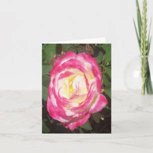 Fotopappningskort för rosa Vit ros Anteckningskort