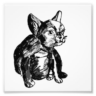 Fotopatrering av bulldog Fransk Buldog Fototryck