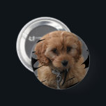 FotoPersonlig Knapp<br><div class="desc">Skapa en knapp för anpassad Anpassningsbar-fotoknapp från Ricaso - med ett ram som visar fotot eller till och med din egen teckning på ett trendig.</div>