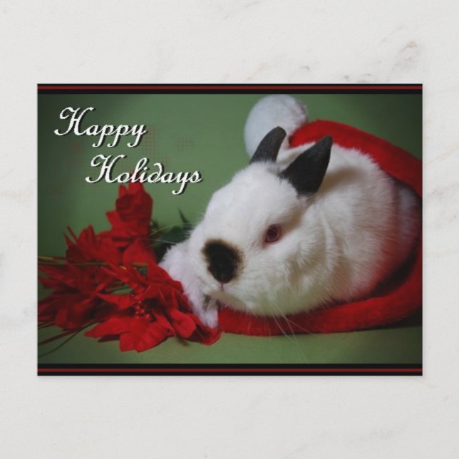 Fotoportet "Bunny jul" Helg Vykort (Framsida)