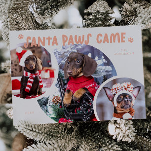 Fotoportet Santa Tassar Peach Hund Helgdag Julkort