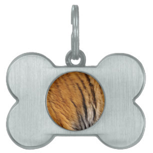 Fotoproverna Tiger Rand Big Cat Wildlife Namnbricka Husdjur