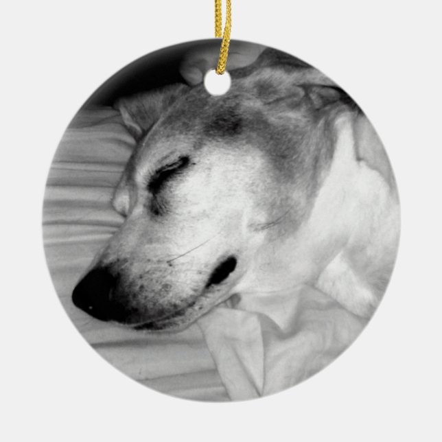 fotoprydnad för hund 311-Custom Julgransprydnad Keramik (Framsidan)