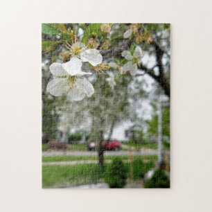 Fotopussel av kreativ, vit rödblomma