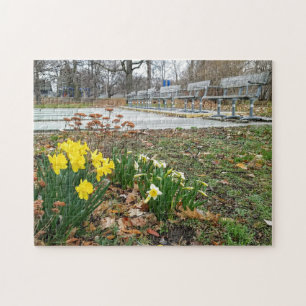 Fotopussel i kreativets landskapsblomma