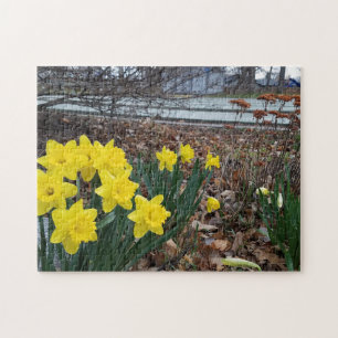 Fotopussel i kreativets landskapsblomma