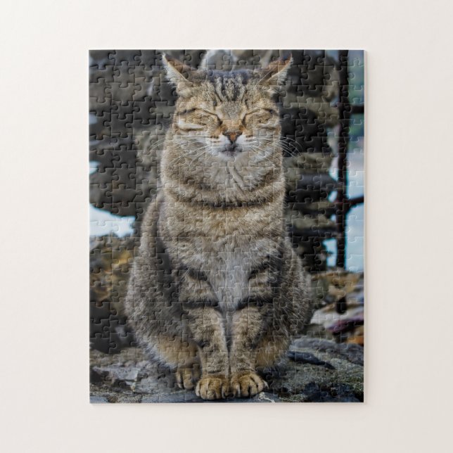 Fotopussel - katt i Cinque Terre, italien (Vertikal)