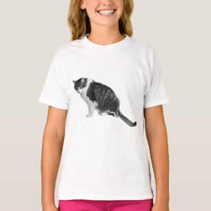 Fotorealistisk Katt Pose Tröja Lyfter Subtila Dagl