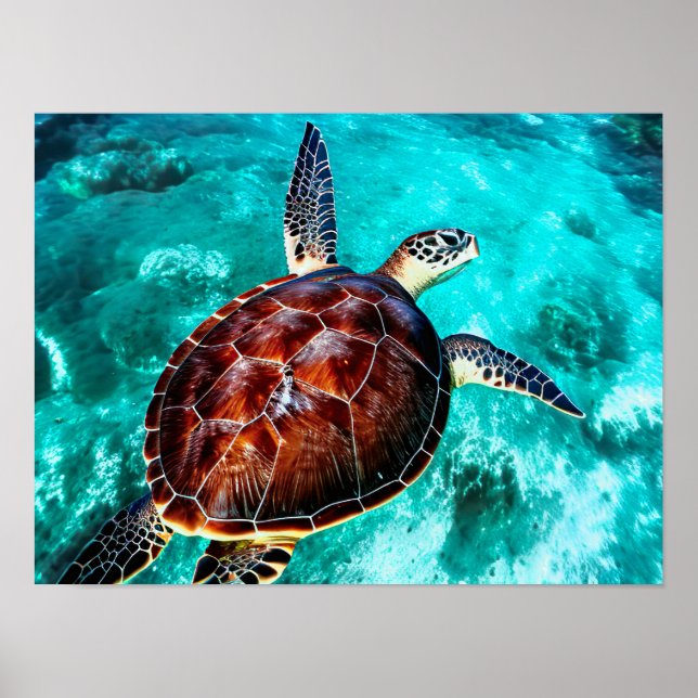 Fotorealistiska havssköldpaddan i Turquise Vatten Poster (Framsidan)
