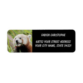 Fotoröd panda, djur 0531. returadress etikett