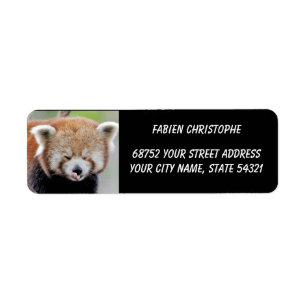 Fotoröd panda, djur 0532. returadress etikett