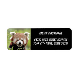 Fotoröd panda, djur 0533. returadress etikett