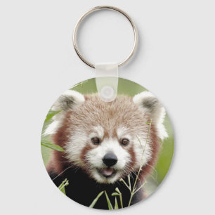Fotoröd panda i nyckelkedjan.. Panda roux. Nyckelring