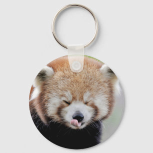 Fotoröd panda i nyckelkedjan.. Panda roux. Nyckelring