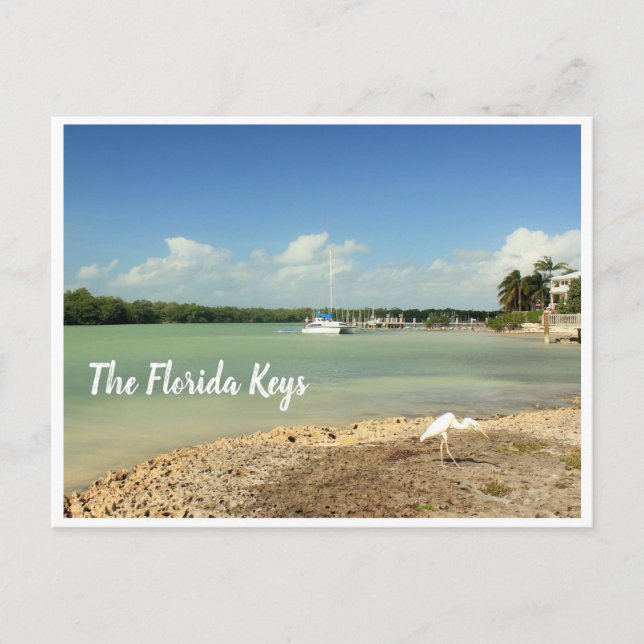 Fotoscenen Florida Nycklar med båt och fågel Vykort (Framsida)