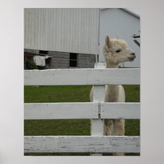 FOTOSKRIVNINGAR POSTER