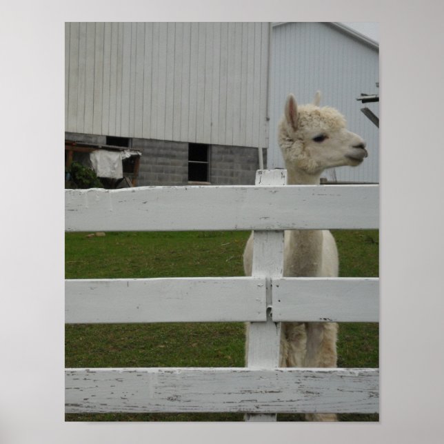 FOTOSKRIVNINGAR POSTER (Framsidan)