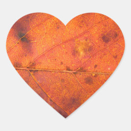Fotostämplar för orange-röd höst-Löv Hjärtformat Klistermärke