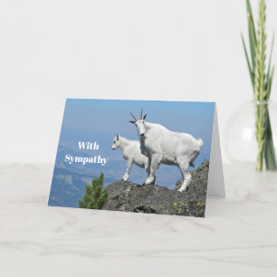 Fotosympati för bergsgetter White Wildlife Kort