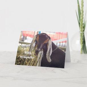 Fotosympati för Cute Goat Long Öron Kort