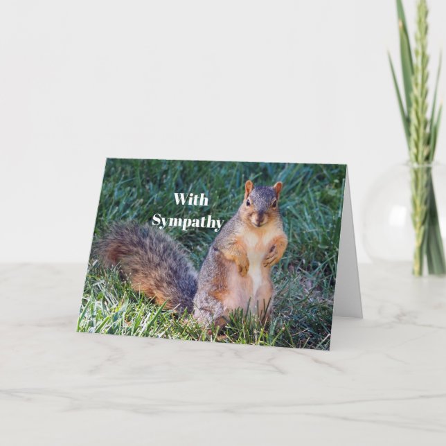 Fotosympati för Cute Squirrel Kort (Framsida)