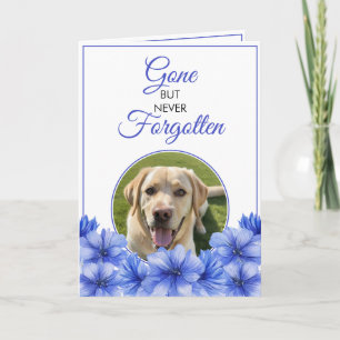 Fotosympati för modern blå Blommigt Pet-förlust Kort
