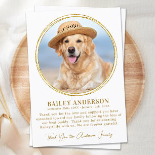 Fotosympati för Pet Memorial Elegant Guld Anpassni Tack Kort